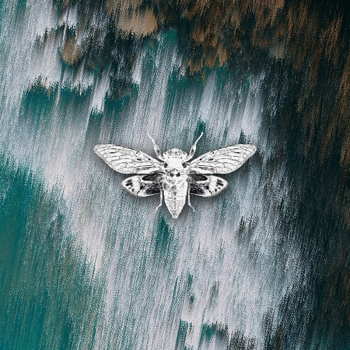 Moonphazes - Monocycle