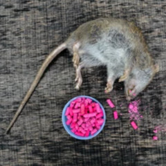 all my friends are dead ft slurtome prod by Us #Last place