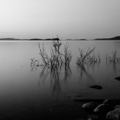 Sasha Ft. Zazou 𓅽