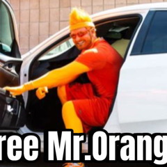 Free Mr.Orange Vol 1