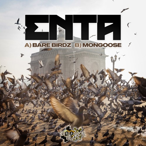 ENTA - MONGOOSE