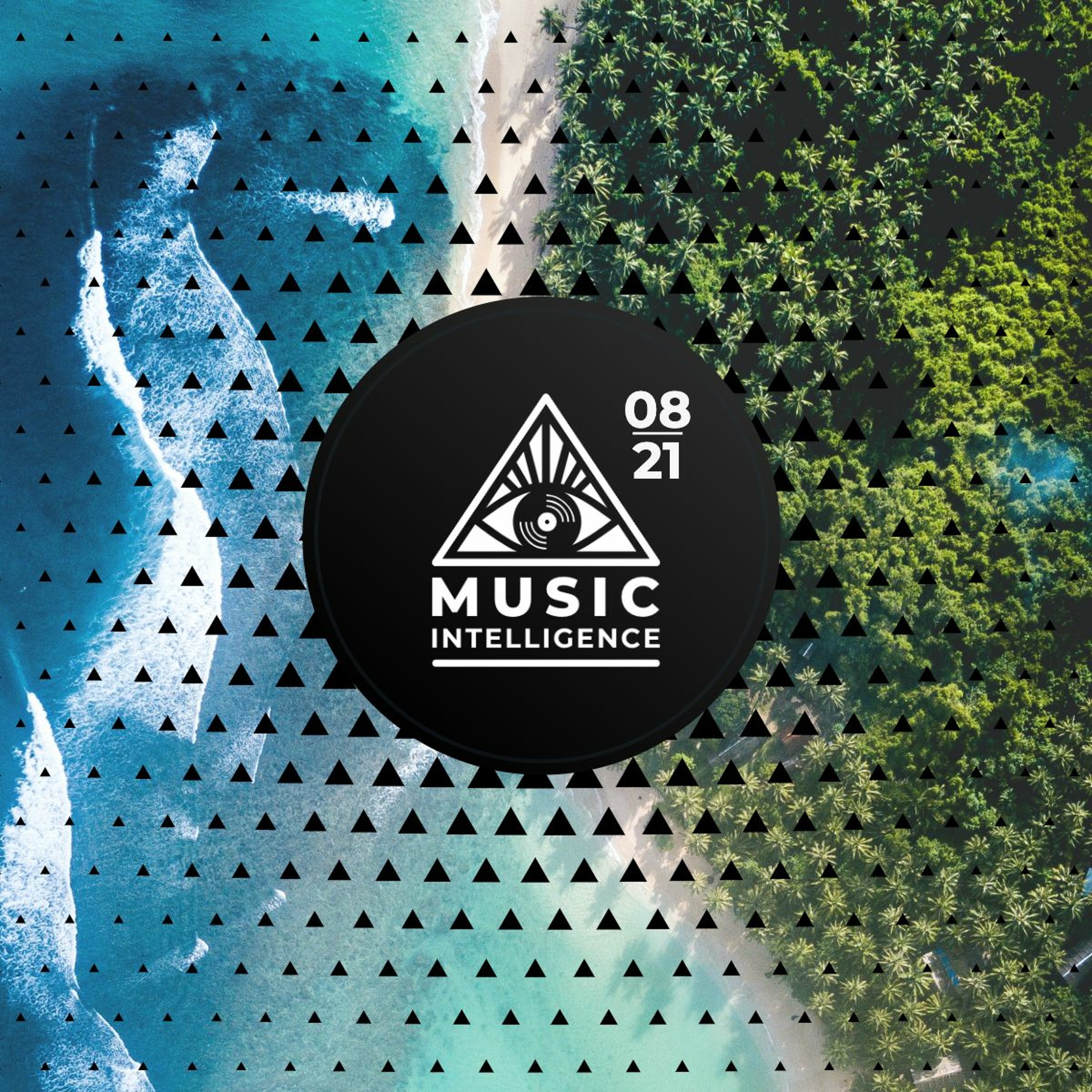 Music Intelligence Podcast