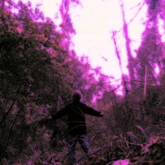 Tellerwäscher - Flying Souls