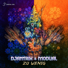 Djantrix & Modual - Zu Wenig (Preview)