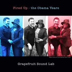 Fired Up - the Obama Years