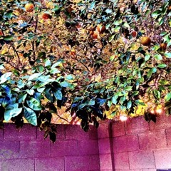 Bleood wannabe.mp3 (prod. ilyt)