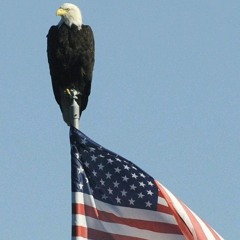 the witness they cant buy