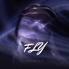 Fly