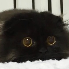 JIM