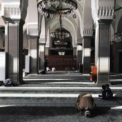 وما أُوتيتم من شيءٍ فمتاعُ الحياة الدنيا | الهُذلي رحمه الله.