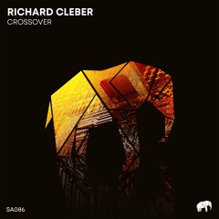 Richard Cleber - Abstraction (Original Mix)