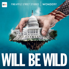 Will Be Wild - Vinyl