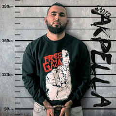 SadiQ feat. Infinit - C‘est la Vie [hoodtrap remix]