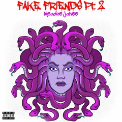 Fake Friends Pt. 2