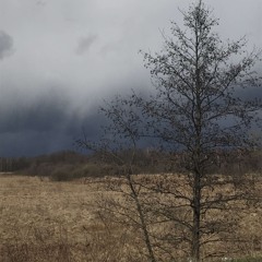 Плачешь Под Джой Дивижн
