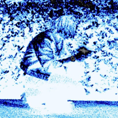 SSGKobe - onamission (FAST)