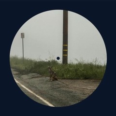 Misses - Dominic Fike (IsaacLi Remix)