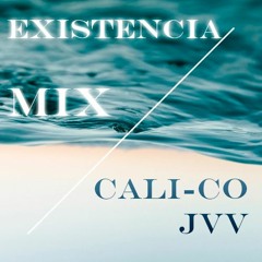 EXISTENCIA MIX - JVV