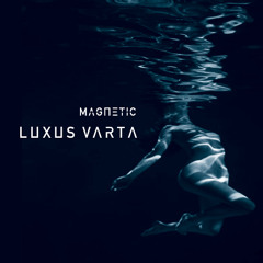 PREMIERE: Luxus Varta - Post-Mortem Meeting (Specimen Records)