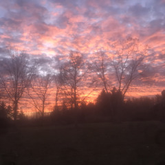 DMONEY DontLeave MIX 1