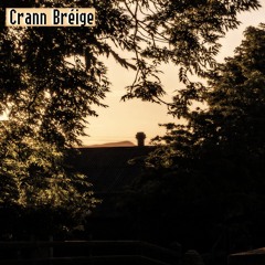 Crann Bréige