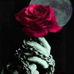 الأخرس & السيلاوي | نصف ساعة ميكس من أجمل الأغاني