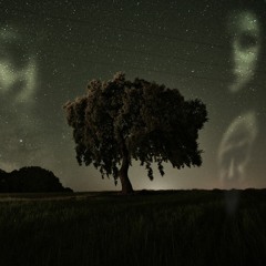 Whispering Fields