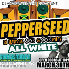 90’S PEPPERSEED SHOWTIME SOUND X KING COURAGE X PLATINUM SOUND X  DJROY 3.30.24 LIVE AUDIO