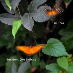 Question (the Ballad)