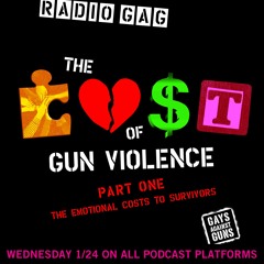 Costs Of Gun Violence Pt 1 Emotional Costs