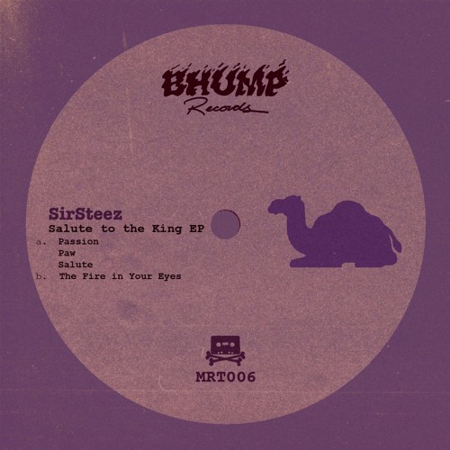 SirSteez - Salute To The King