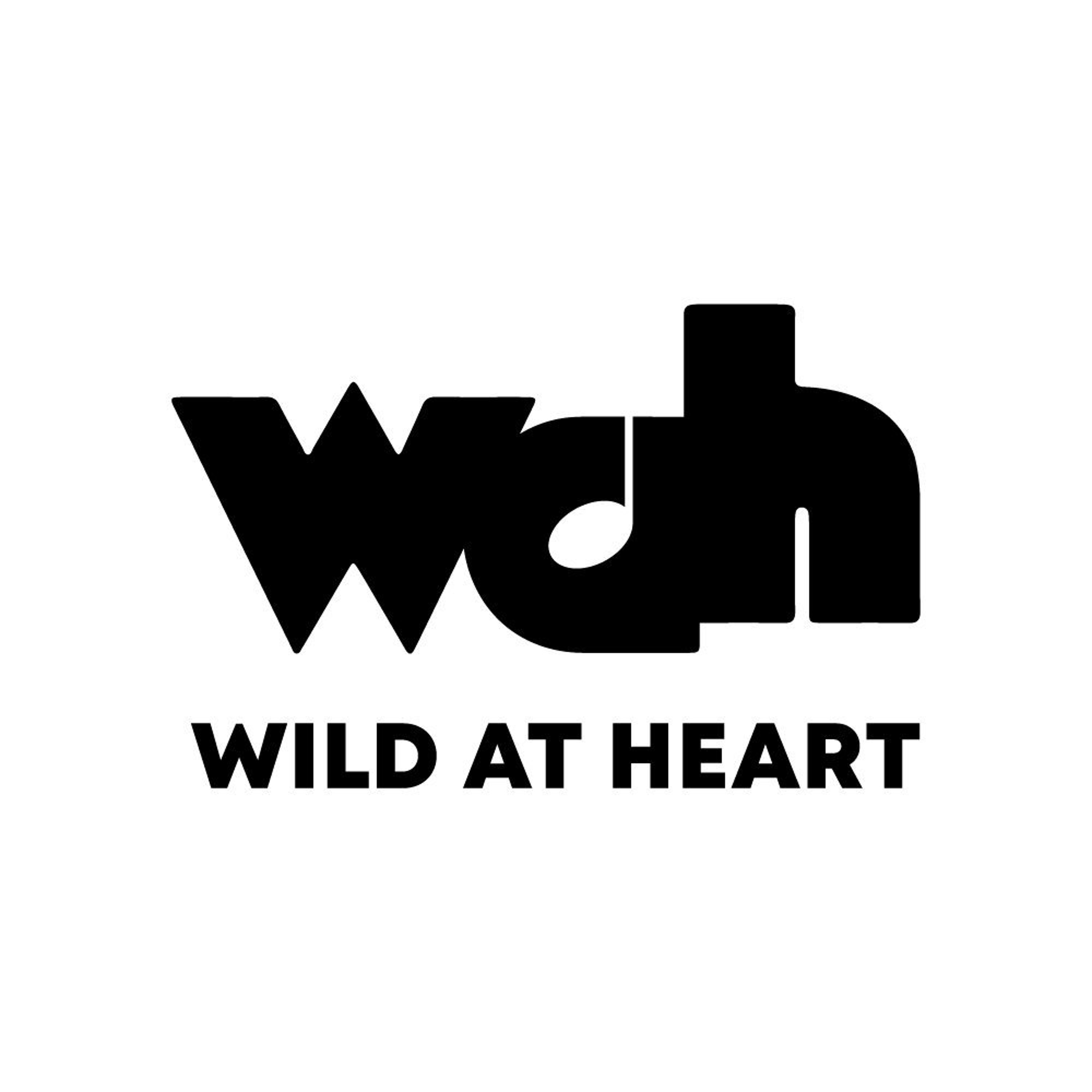 Wild At Heart - Episode 2 episode artwork