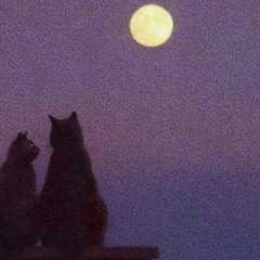 Zack Orsen, Diegosan - So High (in7r0vert Slowed And Reverb)