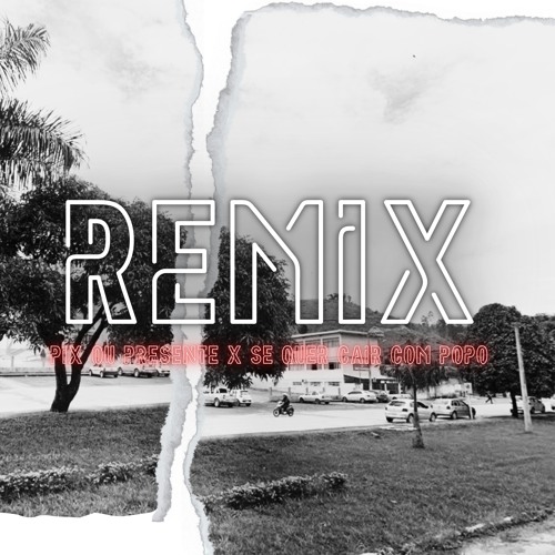 REMIX - PIX OU PRESENTE x SE QUER CAIR COM POPO [ DJ JOTTAPE 028 ] feat. SIRI DJ