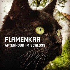 Flamenkaa @ Elektroheuriger Afterhour 150820