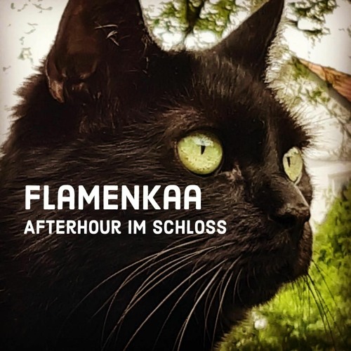Flamenkaa @ Elektroheuriger Afterhour 150820