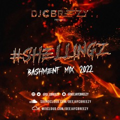 #Shellingz Bashment Mix Vol.1 2022