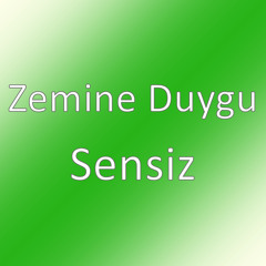 Sensiz