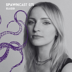SPAWNcast 075 - Eluzid