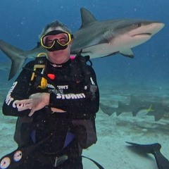 Unraveling the tales of sharks and dugongs on World Oceans Day