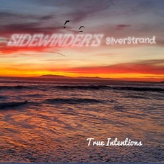 True Intentions(free reggae instrumental)