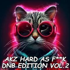 Hard As F**k DnB 4x4 edition VOL.2