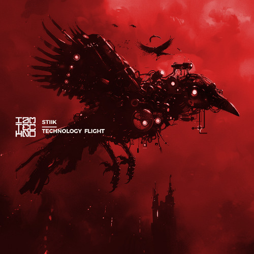 STIIK - Flight