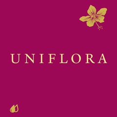 Uniflora