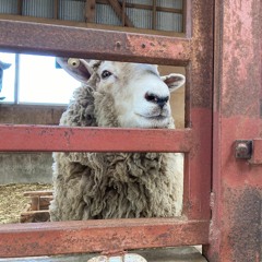 なんちゃってローファイ