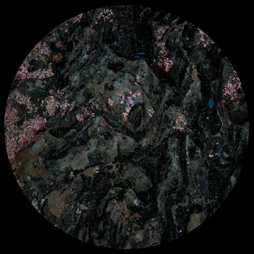 AMLTD001 - Tarantula Nebula - Infinite Lights Part 1