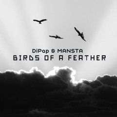 DiPap Feat. MANSTA - Birds Of A Feather (Original Mix)