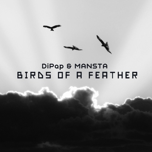 DiPap Feat. MANSTA - Birds Of A Feather (Original Mix)