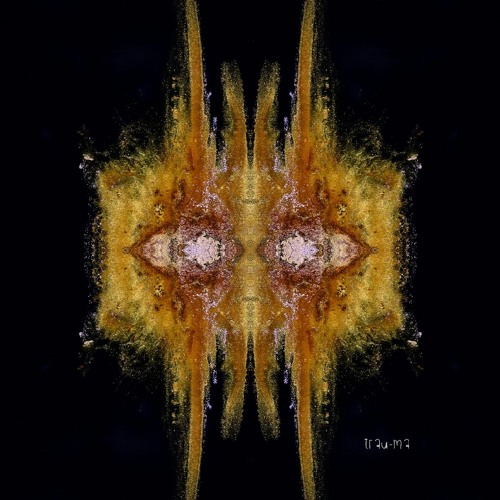 Premiere: Mayfie - Fragments Of Us [trau-ma]