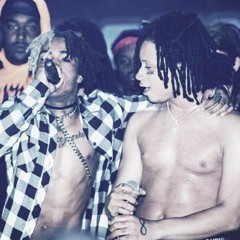 RIP X
